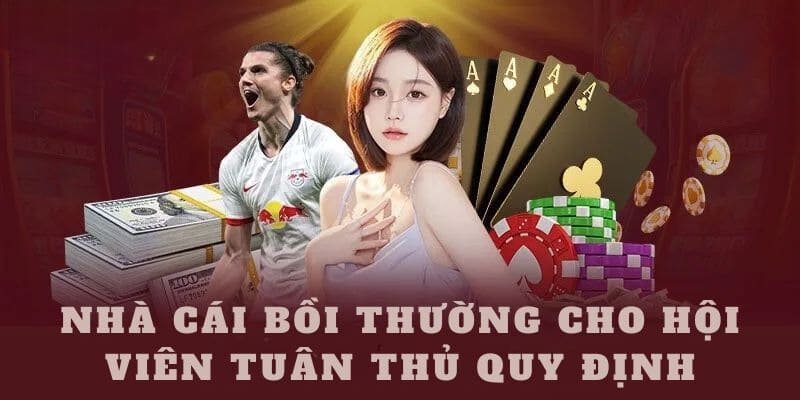 Lợi ích của hội viên khi tuân thủ chính sách